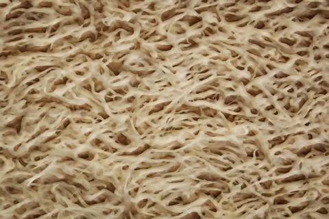 Fiber Stock Illustration