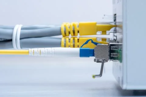 Fiber optic and network ethernet patch cord cable 스톡 사진