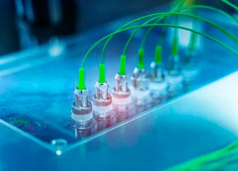 Fiber optic cable connect to communication Distribution point Stock Photos