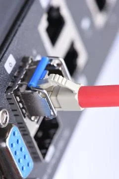 Fiber optic cable connected to switch Stock Photos