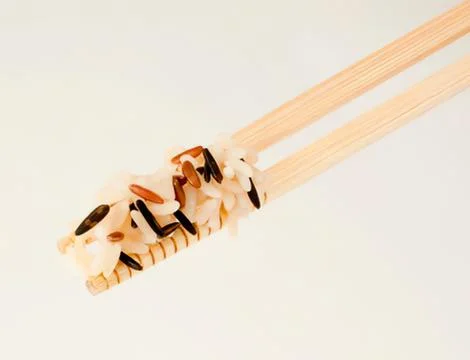 Fiber optic cable connector close-up view Stock Photos