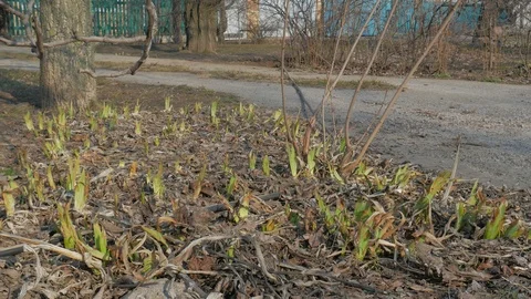 Fiber optic cable dismantling from the cable shaft Stock Footage 127105188
