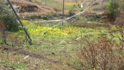 Fiber optic cable exposed on tree branches, bushes and grass in the wind. D.. Stock Footage 318810972