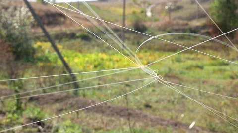 Fiber optic cable exposed on tree branches, bushes and grass in the wind. D.. Stock Footage 318810998
