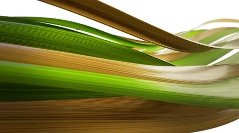 Fiber optic cable transfer data Stock Photos