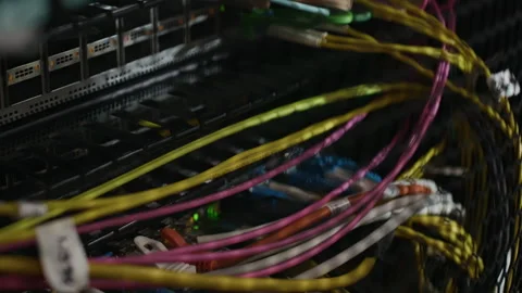 Fiber Optic Cables Connected to Data Center Server Switch Stock Footage 330539518