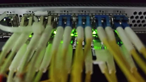 Fiber Optic Cables Connected to Network Switch with Blinking Green LED Lights Stock Footage 339550214