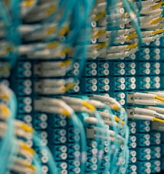 Fiber Optic Cables Connected to Network Equipment in Data Center Foto stock