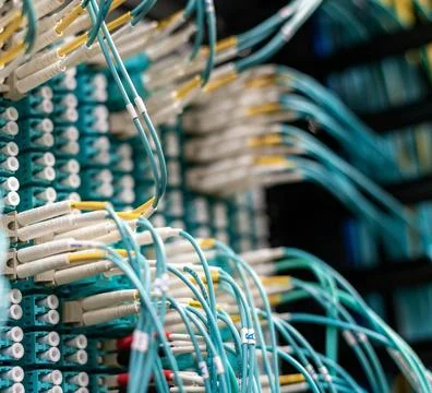 Fiber Optic Cables Connected to Network Equipment in Data Center Foto stock
