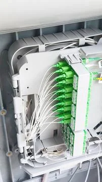 Fiber optic cables connecting to the distribution frame in data center Stock Photos