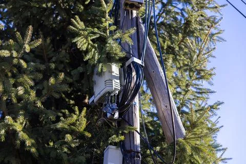 A fiber optic junction box attached to a wooden utility pole nestled within Stock Photos