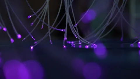 Fiber Optic LED Decoration with Changing Red Light Glow Видео 334039720