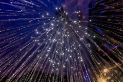 Fiber optic light decoration Stock Photos