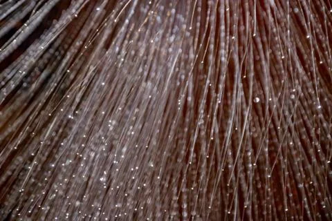Fiber optic light decoration Stock Photos
