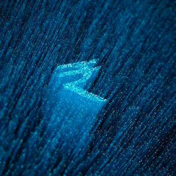 Fiber-optic rupee concept Illustrazione stock