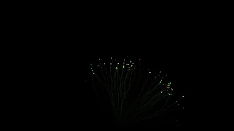 Fiber optic tree glow animation 4K Vídeos de archivo 336517118