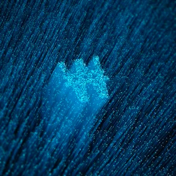 Fiber-optic won concept 스톡 일러스트