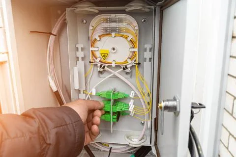 Fiber optical network cables patch panel and switch. Stock Photos