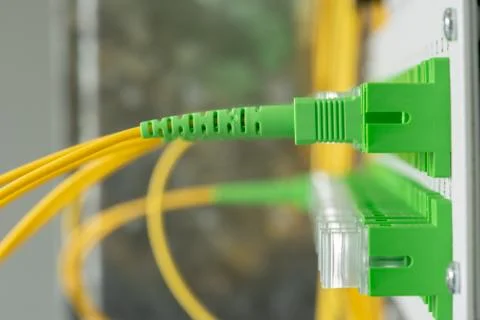 Fiber Optical Network Panel with Patchcords Stock-Fotos