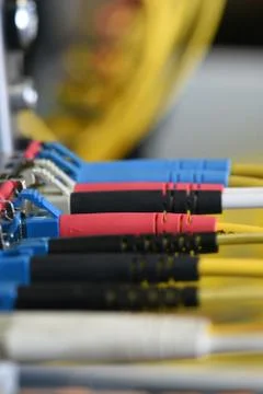 Fiber optical patch cord cable connected to switch Foto stock