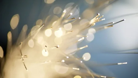 Fiber Optics. Bunch of Colored Optical Fibres With Bokeh. Technology Concept. Stock Footage 125121853