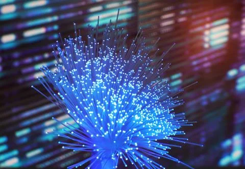 Fiber optics network cable on technology background Stock Photos