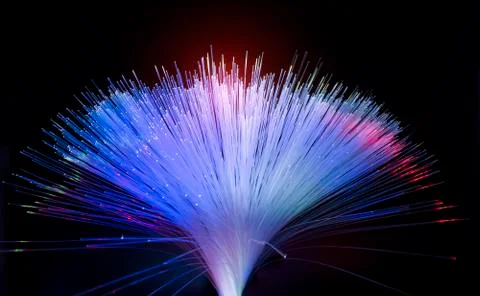 Fiber optics network cable on technology background Stock Photos