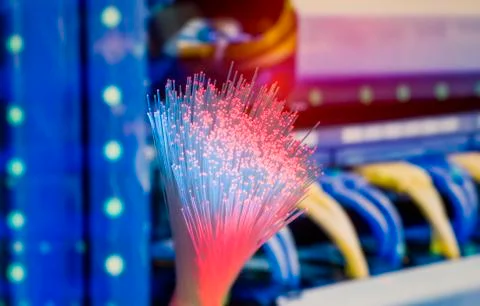 Fiber optics network cable on technology background Stock Photos