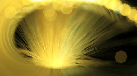 Fiber optics strands Stock Footage 34332055