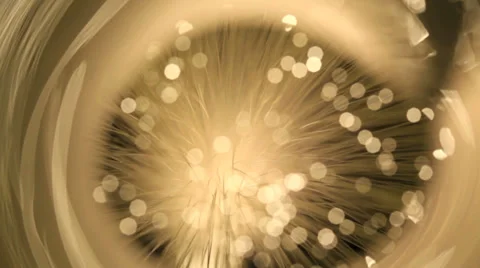 Fiber optics strands Stock Footage 34333703