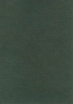 Fiber paper texture - davy's gray xxxxl Stock Illustration