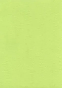 Fiber paper texture - light grass green Stock Photos