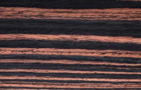 Fiber pattern Ebony wood Stock Photos