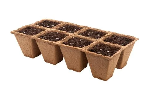 Fiber seed starting cell Stock Photos
