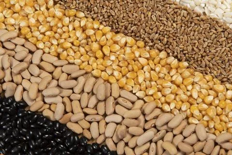 Fiber source examples Foto stock