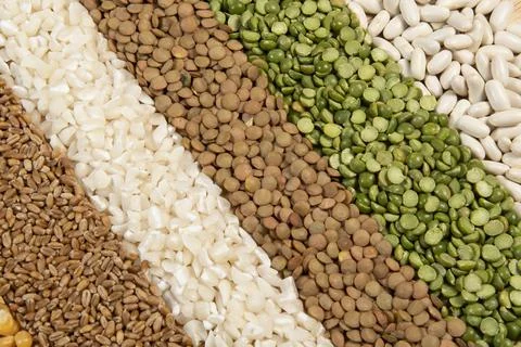 Fiber source examples Foto stock