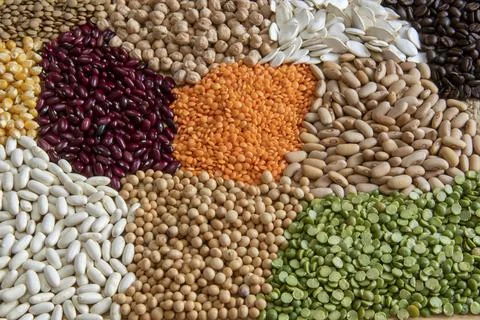 Fiber source examples Foto stock