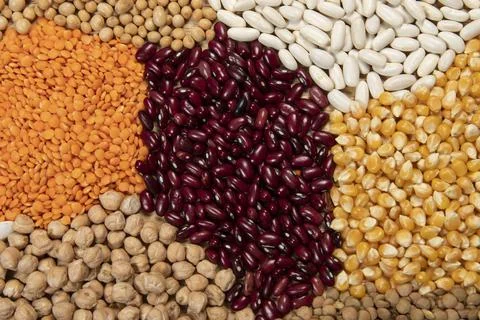 Fiber source examples Stock Photos