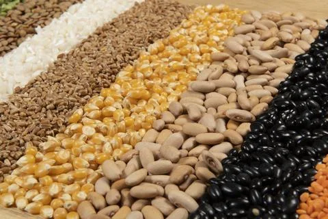 Fiber source examples Foto stock