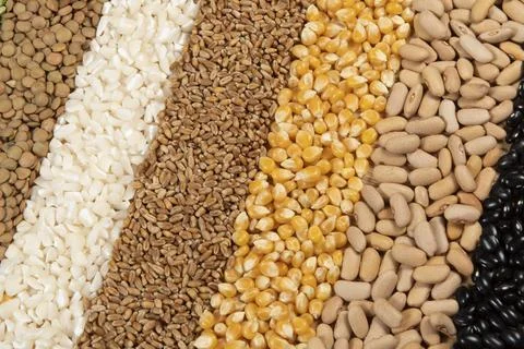 Fiber source examples Stock Photos