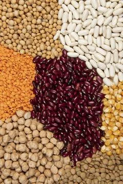 Fiber source examples Stock-Fotos