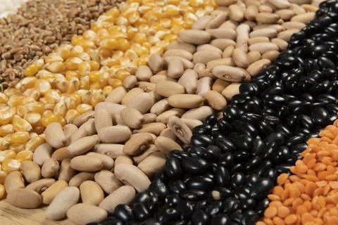 Fiber source examples Stock Photos