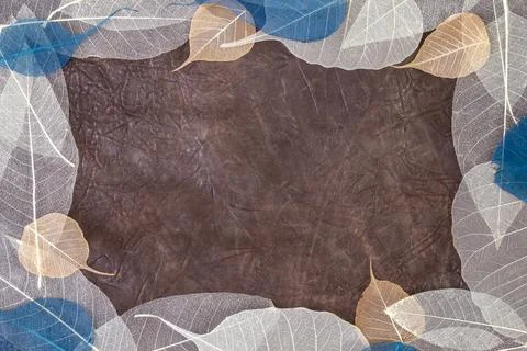 Fiber structure of dry leaves forming a frame around brown leather texture .. Stock Photos