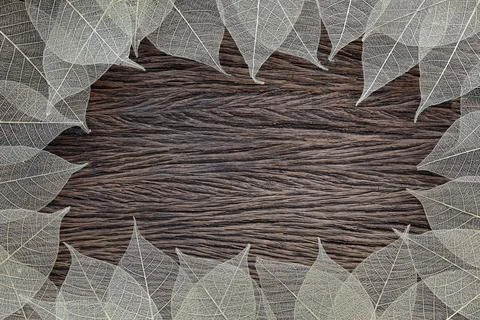 Fiber structure of dry leaves texture, skeleton leaf on old wooden background  Stock Photos