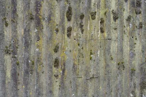 A fiberglass corrugated sheet for using as background, wallpaper Stock Photos