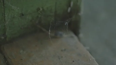 Fibers of cobweb on old house threshold 4K footage Stock Footage 199635169
