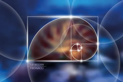 Fibonacci number sequence. Golden ratio. Geometric shapes spiral Illustrazione stock