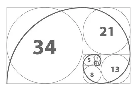 Fibonacci sequence of circles. Golden ratio spiral Stock Illustration