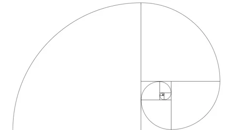 The Fibonacci Sequence Golden Number | Stock Video | Pond5