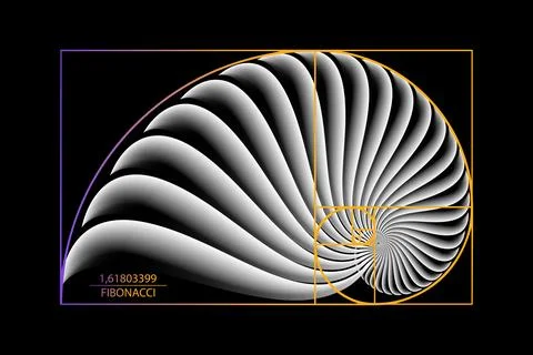 Fibonacci Sequence Golden ratio. Geometric shapes spiral. Snail spiral Stock Illustration